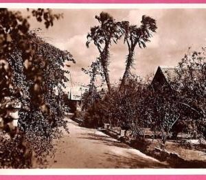 af9065 - SOMALIA - VINTAGE POSTCARD - Mogadiscio