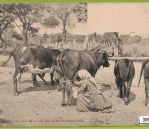 38954 - ARGENTINA - VINTAGE POSTCARD - Ethnic