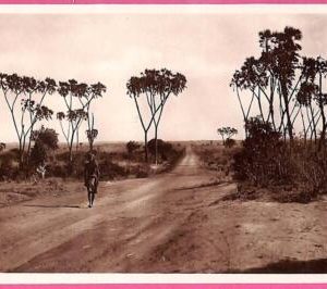 af9124 - SOMALIA - VINTAGE POSTCARD - ETHNIC