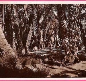af9136 - SOMALIA - VINTAGE POSTCARD