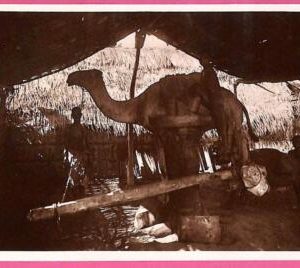 af9142 - SOMALIA - VINTAGE POSTCARD - ETHNIC