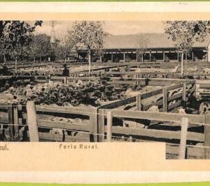 af0011 - ARGENTINA - VINTAGE POSTCARD - Azul, Feria Rural