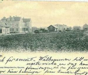 07644 - SWEDEN - Picture postcards VINTAGE POSTCARD - Fjugesta