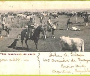 12182 - ARGENTINA - VINTAGE POSTCARD - La Yera, Marcando animales-Buenos Aires