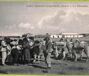 af1420 - BOLIVIA - Vintage Postcard - Indios, Ethnic