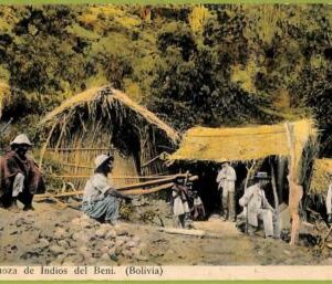af1447 - BOLIVIA - Vintage Postcard - Choza de Indios del Beni