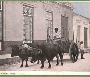 ah2274 - VINTAGE POSTCARD - HAVANA -  ETHNIC