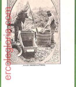 ah2288 - VINTAGE POSTCARD  -  GOLD PROSPECTORS