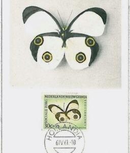 32420 - GUINEA  - MAXIMUM CARD : intects BUTTERFLIES - DUTCH NEW  1961 #1