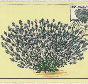 32434  - MONACO -  MAXIMUM CARD : nature FLOWERS 1959 #3