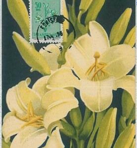 32471  - TURKEY -  MAXIMUM CARD : nature FLOWERS 1956 #2