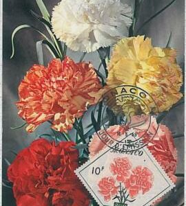 32447 - MONACO -  MAXIMUM CARD :  1959 #5 nature FLOWERS