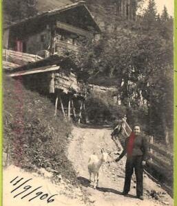 ad4081 - SWITZERLAND Schweitz - Ansichtskarten VINTAGE POSTCARD  - Champery-1906