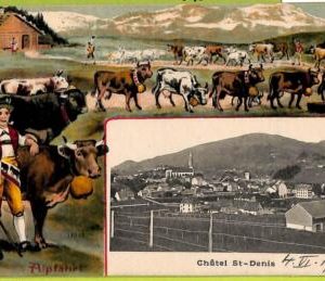 ad4105 - SWITZERLAND  - Ansichtskarten VINTAGE POSTCARD - Chatel St.Denis - 1923