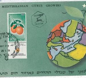 27119 - ISRAEL - MAXIMUM CARD - 1956 - FRUIT  ORANGES