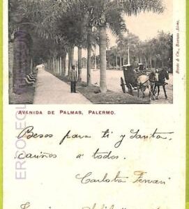 12156 - ARGENTINA - VINTAGE POSTCARD -  Avenida de Palmas