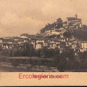 ad9533 - CARTOLINA D'EPOCA - Alessandria Provincia - Sarezzano  1915