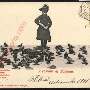 ae2580 - CARTOLINA  D'EPOCA - Bologna Città - I Colombi di Bologna