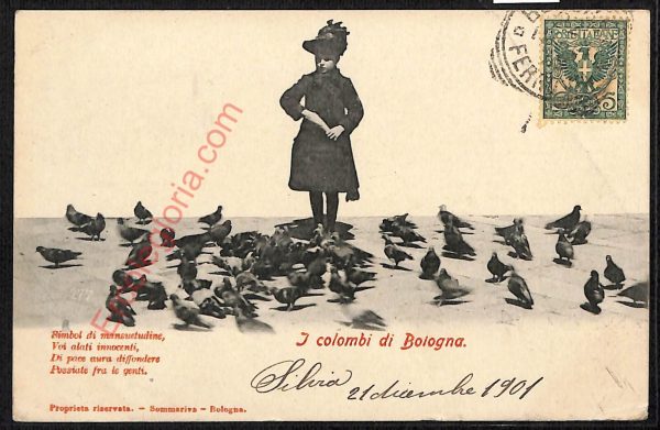 ae2580 - CARTOLINA  D'EPOCA - Bologna Città - I Colombi di Bologna