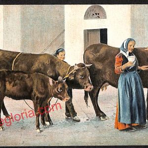 ah3432 - CARTOLINE D'EPOCA - Napoli Citta