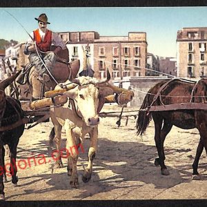 ah3433 - CARTOLINE D'EPOCA - Napoli Citta - Costumi Napoletani