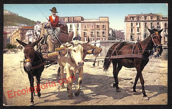 ah3433 - CARTOLINE D'EPOCA - Napoli Citta - Costumi Napoletani