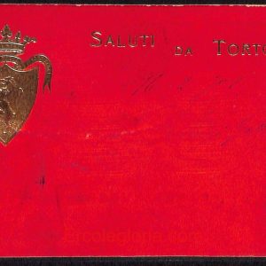 ad9560 - CARTOLINA D'EPOCA - Alessandria Provincia - Tortona  1901