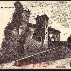 ad9562 - CARTOLINA D'EPOCA - Alessandria Provincia - Tagliolo