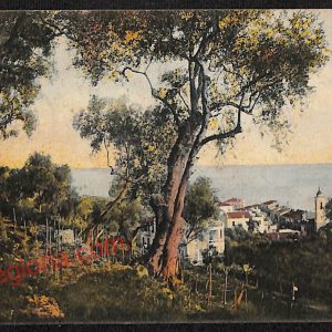 ag4732 - CARTOLINA D'EPOCA - Imperia Provincia - Ospedaletti