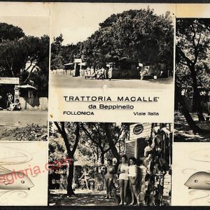 ag2242 - CARTOLINA D'EPOCA - Grosseto Provincia - Follonica