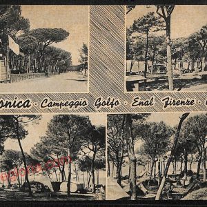 ag2245 - CARTOLINA D'EPOCA - Grosseto Provincia - Follonica   1956