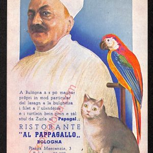 ae2607 - CARTOLINA  D'EPOCA - Bologna Città - Ristorante  '' Al Pappagallo ''