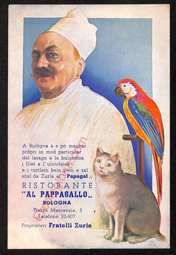 ae2607 - CARTOLINA  D'EPOCA - Bologna Città - Ristorante  '' Al Pappagallo ''