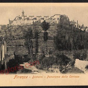 ae6364 - CARTOLINA D'EPOCA  Firenze Città - Panorama