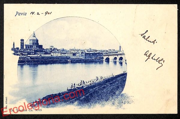 ah5853 - CARTOLINA  D'EPOCA - Pavia Città - Panorama
