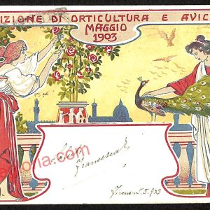 ae7439 - CARTOLINA D'EPOCA - Firenze - Esposizione di Orticultura e Avicultura