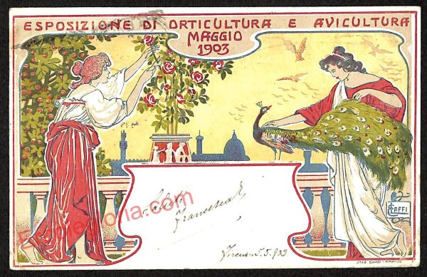 ae7439 - CARTOLINA D'EPOCA - Firenze - Esposizione di Orticultura e Avicultura