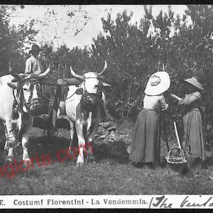ae7440 - CARTOLINA D'EPOCA - Firenze - Costumi Fiorentini  1915