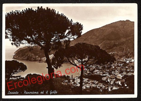 ag5647 - CARTOLINA D'EPOCA - La Spezia Provincia - Levanto