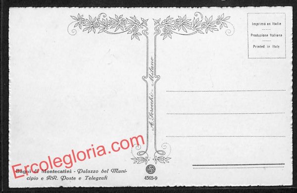 ah8648 - CARTOLINA D'EPOCA - Pistoia Provincia - Montecatini - immagine 2