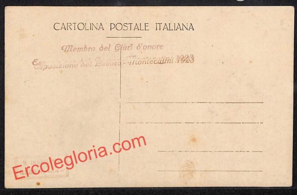 ah8660 - CARTOLINA D'EPOCA - Pistoia Provincia - Montecatini - immagine 2