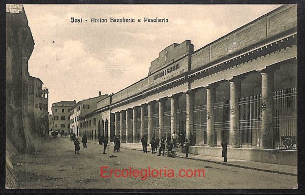ad9765 - CARTOLINA  D'EPOCA - Ancona Provincia - Jesi  1917