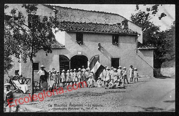 ah8666 - CARTOLINA D'EPOCA - Pistoia Provincia - Montecatini