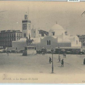 80049 - ALGERIA  Algérie -  Carte postal VINTAGE POSTCARD -  ALGER 1903