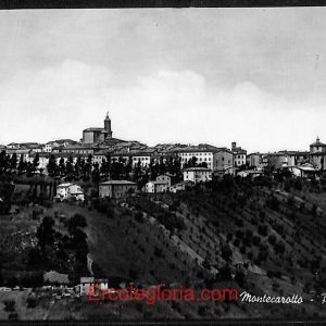 ad9791 - CARTOLINA  D'EPOCA - Ancona Provincia - Montecarotto   1955