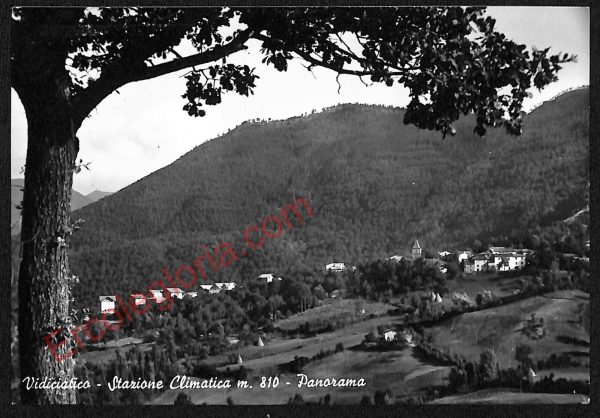ae2831 - CARTOLINA  D'EPOCA - Bologna Provincia - Vidiciatico
