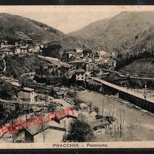 ah8679 - CARTOLINA D'EPOCA - Pistoia Provincia - Pracchia