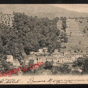 ah8693 - CARTOLINA D'EPOCA - Pistoia Provincia - Pracchia