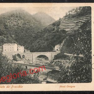 ah8702 - CARTOLINA D'EPOCA - Pistoia Provincia - Pracchia