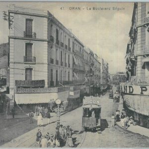 80126 - ALGERIA  Algérie -  Carte postal VINTAGE POSTCARD -  ORAN    Tram